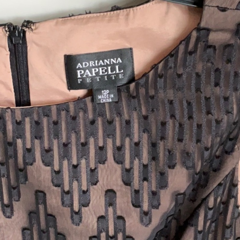 Adrianna Papell Petite Black and Tan Dress